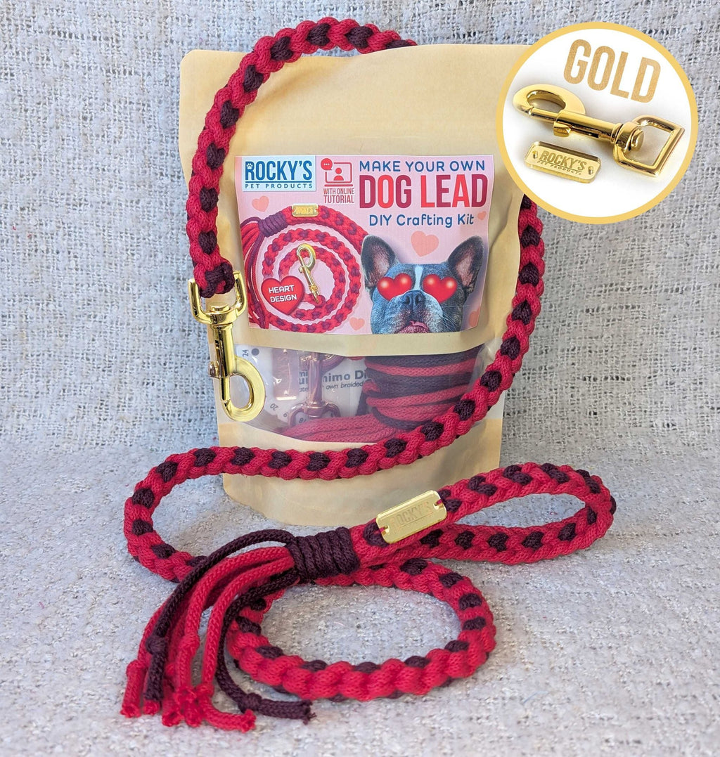 Heart Pattern Red Valentine's Day Make Your Own Dog Lead Craft Kit