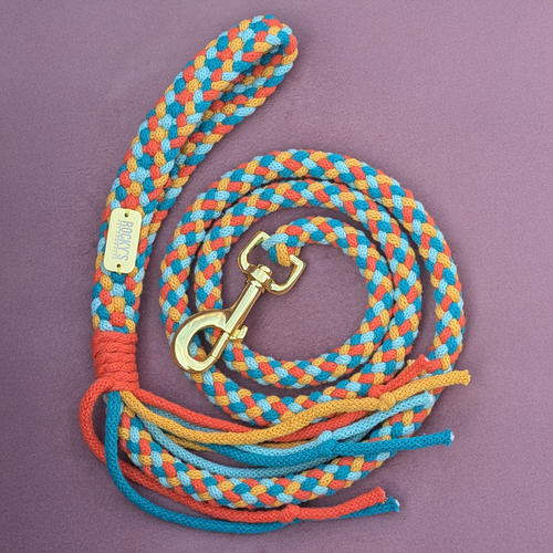 Dog Lead DIY Crafting Kit | Basket Weave Pattern | Make Your Own Dog Lead