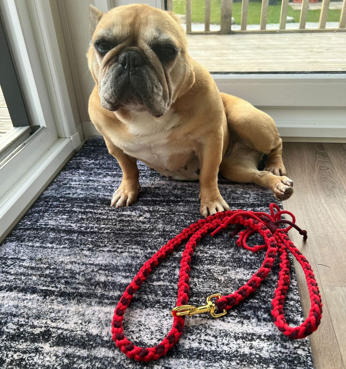 Heart Pattern Red Valentine's Day Make Your Own Dog Lead Craft Kit